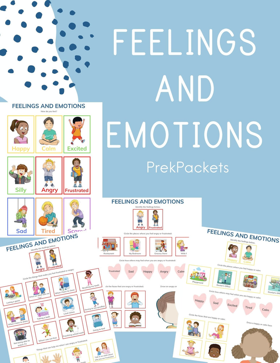 Feelings and Emotions